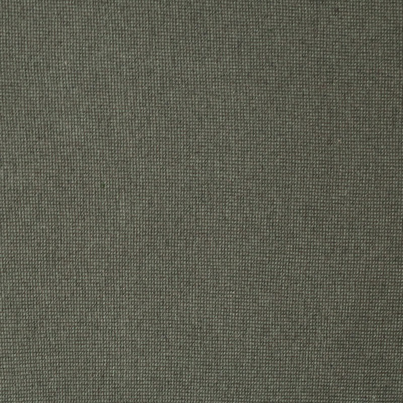 鸢尾叶