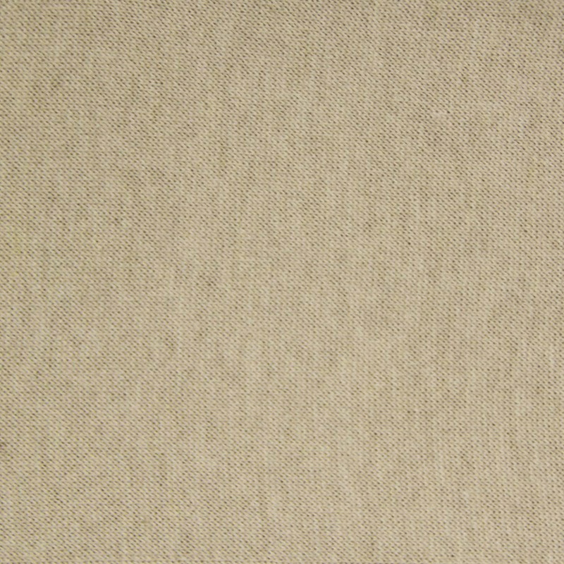 浅米驼